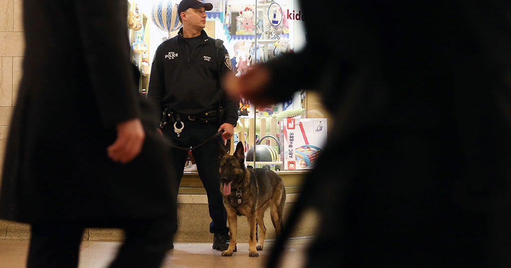 First Of 500 New MTA Police Officers Sworn In CBS New York