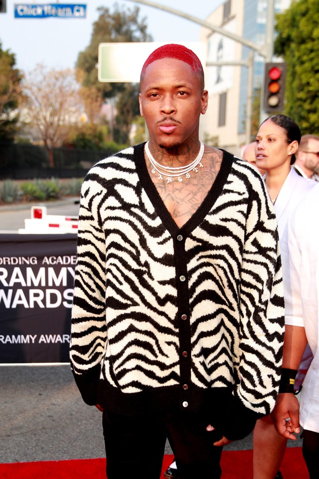 62nd Annual GRAMMY Awards &ndash; Red Carpet 