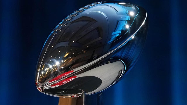 NFL: Super Bowl LIV-Commissioner Roger Goodell Press Conference 