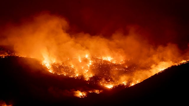 State Of Emergency Declared In ACT As Canberra Braces For Increased Bushfire Threat 