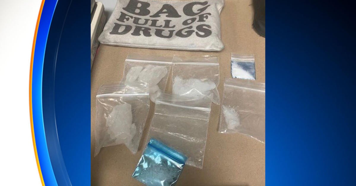 Only In Florida: 'Bag Full Of Drugs' Actually Contained Illegal Drugs ...