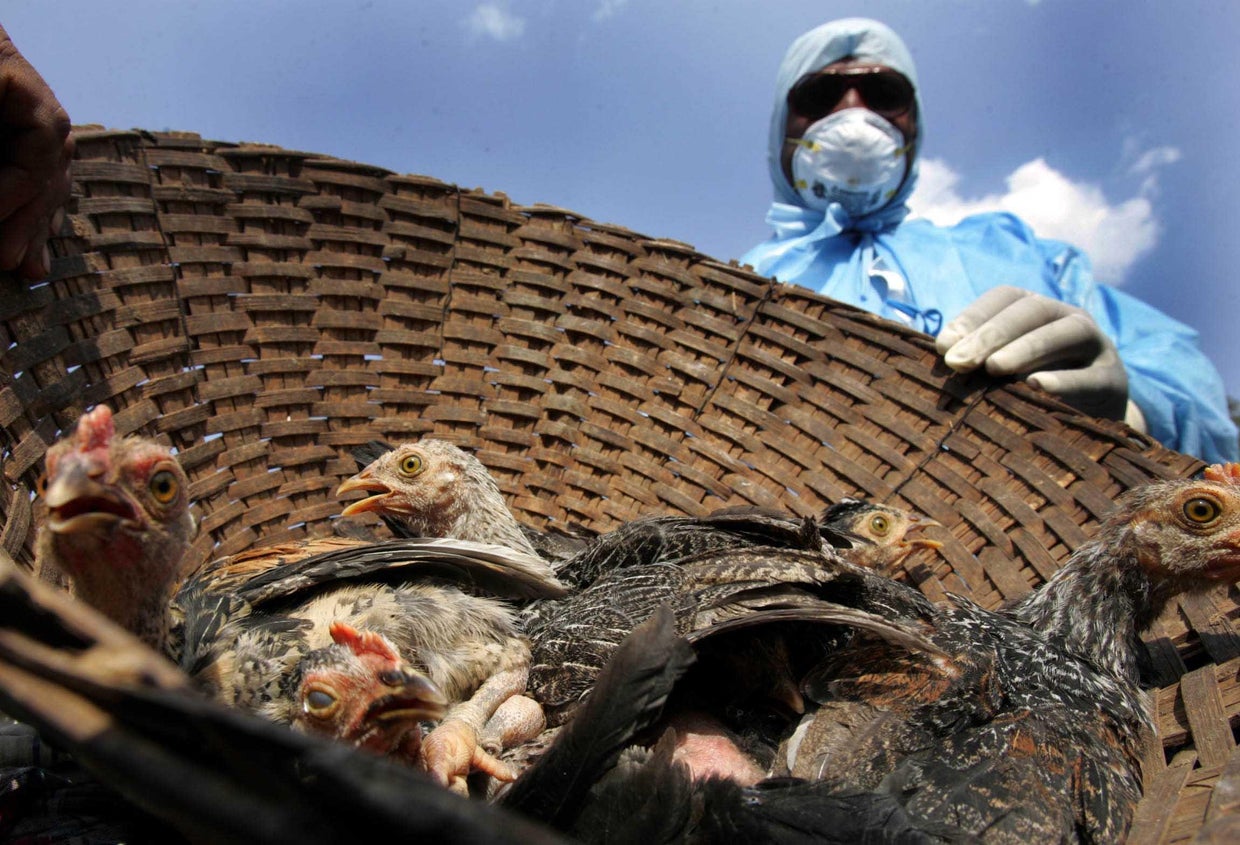 Mumbai Society And Daily Life