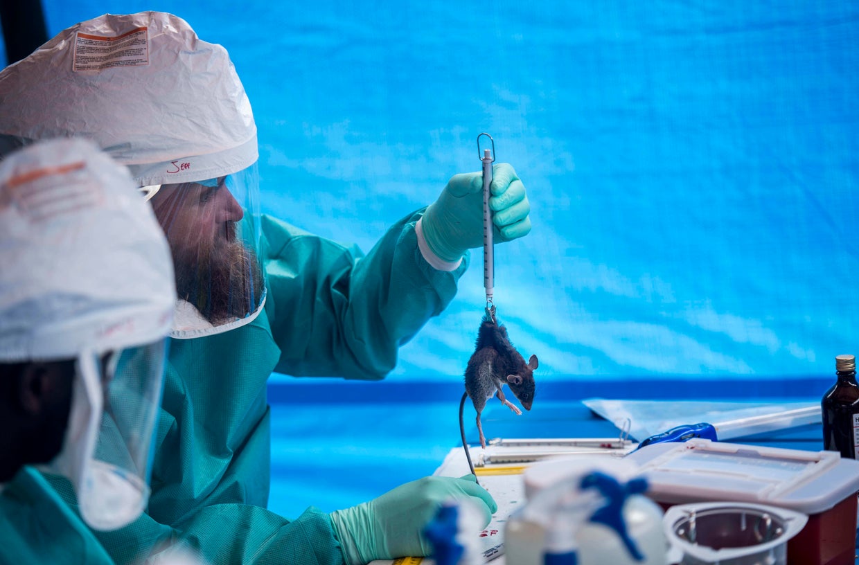 CDC (Center of Disease Control) Team in Republic of Congo Study MonkeyPox Virus