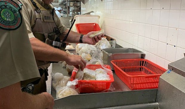Texas Game Wardens Biting Down On Shark Finning Restaurants