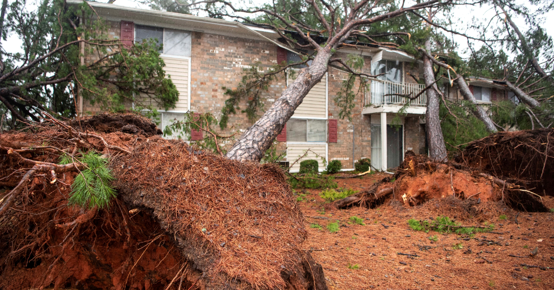 Severe storms target Northeast after tornadoes slam the South - CBS News