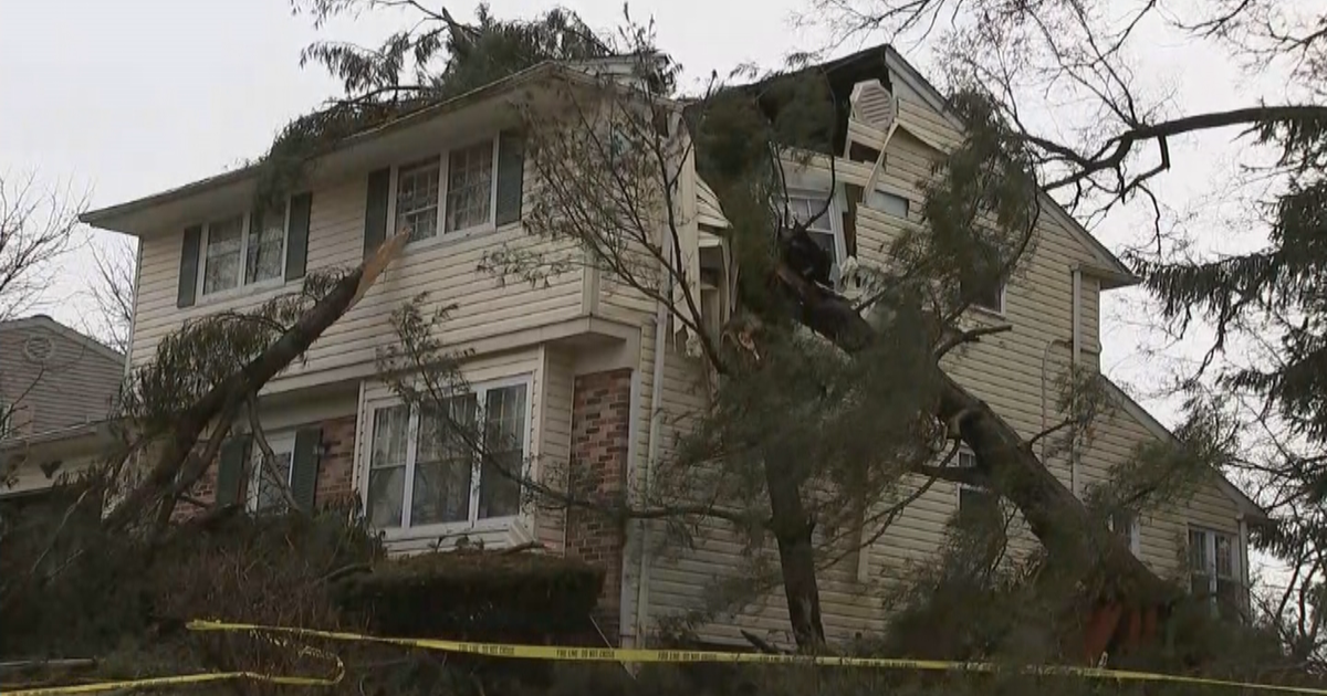 Pretty Shaken Up Man Inside As Large Tree Crashes Into Delaware Home