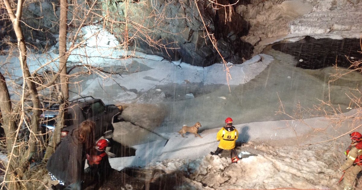 Golden Fire Crews Rescue Dogs From Icy Water In Clear Creek Canyon ...