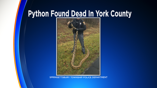 FS-Mug-Python-Found-Dead-In-York-County-2-7-2020-3-07-10-PM.png 