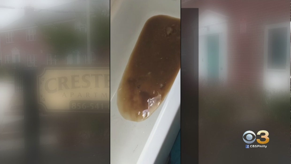 'This Is Too Much For Me' Sewage Water, Feces Backs Up Into Woman's