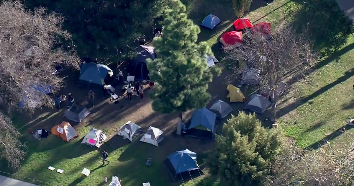 Pictures: Echo Park Lake Rally Underway as Homeless to Be Moved – NBC Los  Angeles