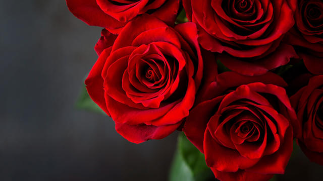 Roses-1.jpg 
