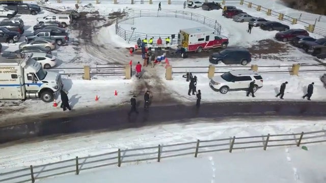 Gannon Stauch search 