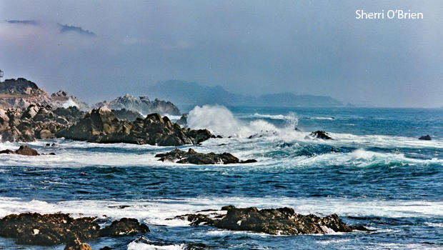 the-california-coast-near-davenport-beach-sherri-obrien-b-620.jpg 