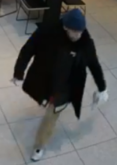 River North Sexual Abuse Suspect