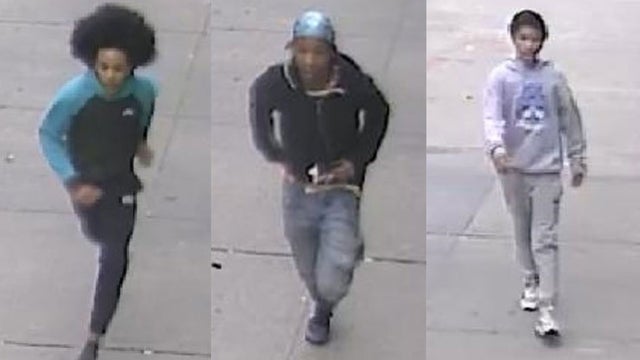 14yo-robbed-on-Bronx-playground.jpg 
