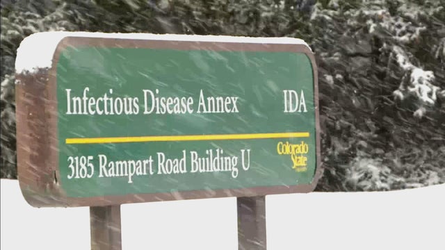 CORONAVIRUS ALERT 5PKG.transfer_frame_137 