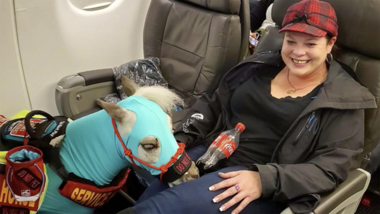 American Airlines bans emotional support animals - CBS News