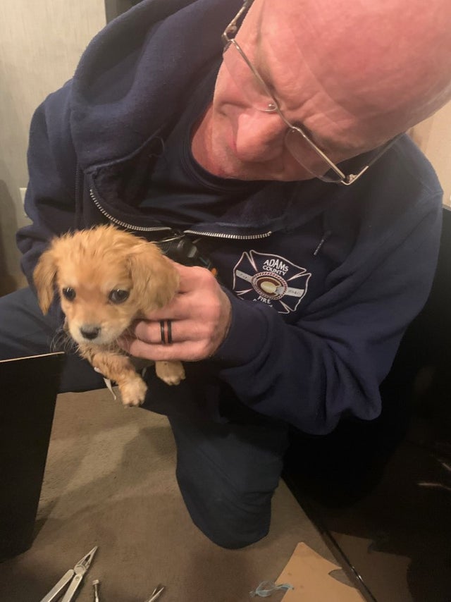 adams co puppy rescue credit adams county fire4 