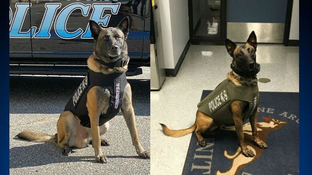 0225k9s.jpg 
