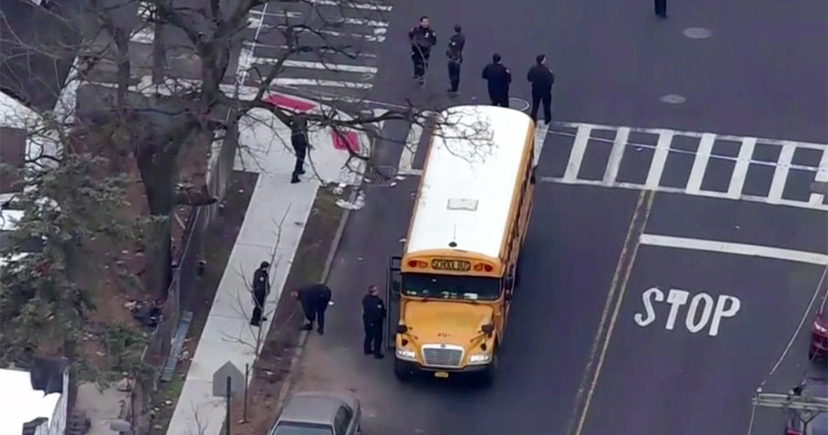 10-Year-Old Girl Hit, Killed By School Bus In Brooklyn, Driver Charged ...