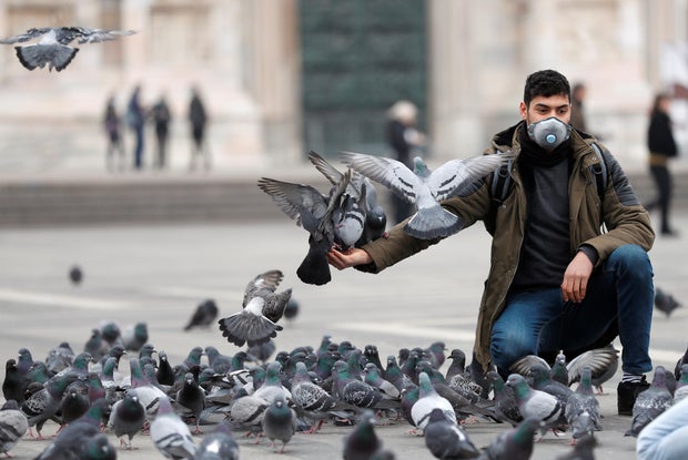 Man in a face mask feeds pigeons in Milan