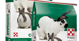 Purina Animal Nutrition recalls four food brands in 32 states
