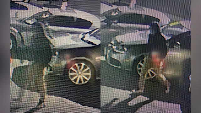 ROSEVILLE-CARS-STOLEN.png 