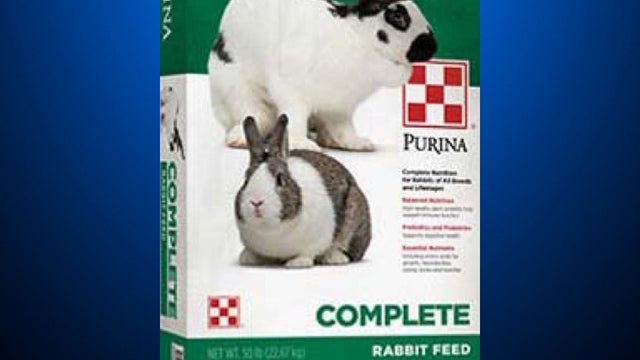 rabbitfeed.jpg 