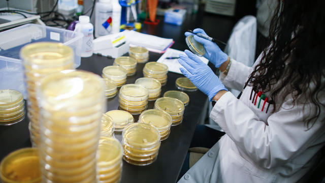 Researchers Work On Developing Test For Coronavirus At Hackensack Meridian's Center For Discovery and Innovation 