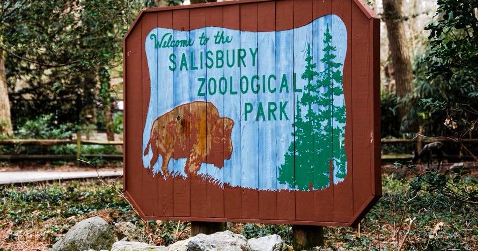 Maryland's Salisbury Zoo Loses National Accreditation CBS Baltimore