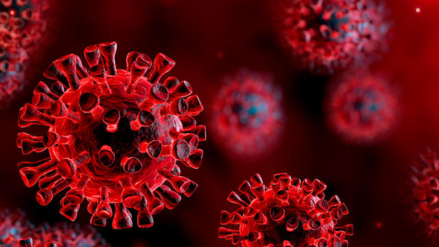 Coronavirus.jpg 