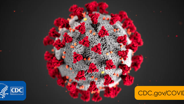 2019-coronavirus.jpg 