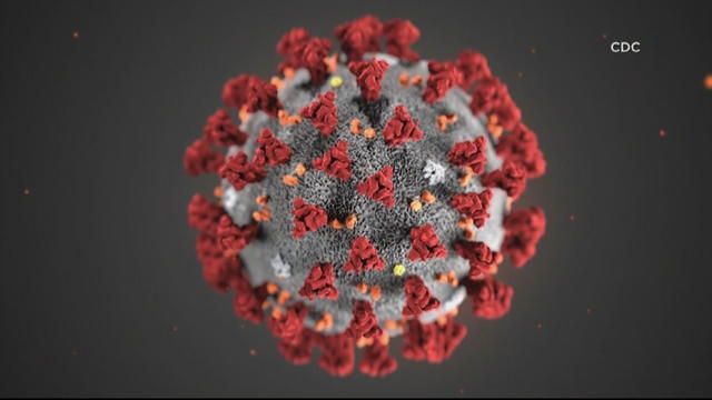 coronavirus-new.jpg 