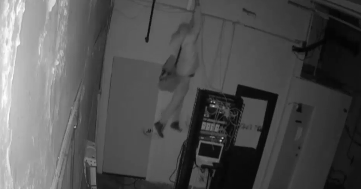 Police Burglar Seen On Video Breaking Into Business In The Bronx Cbs