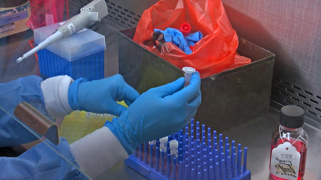 Lab-Testing-Generic-Coronavirus-COVID-19.jpg 