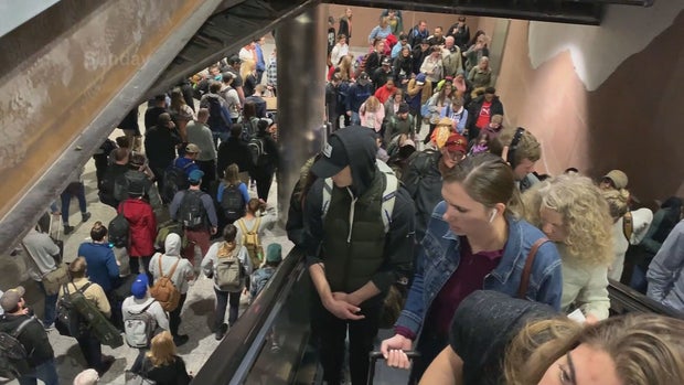 DIA CROWDS 5PKG.transfer_frame_216 