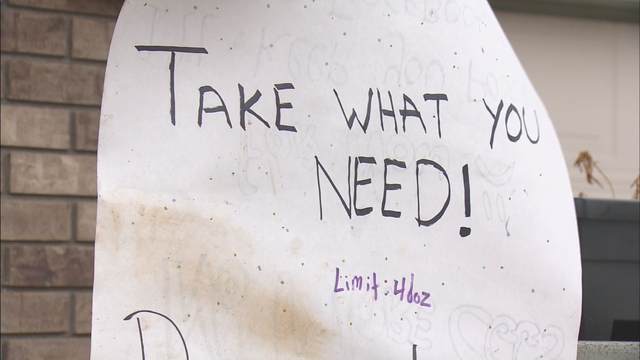 Egg Donations EJ2 Dale_frame_2049 