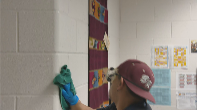 DPS CLEANING 12VO .transfer_frame_179 