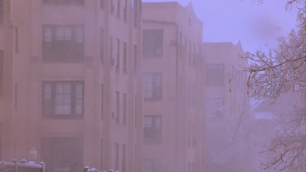 DOMESTIC VIOLENCE 6PKG.transfer_frame_86 