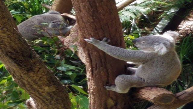 kristin emery vacation 