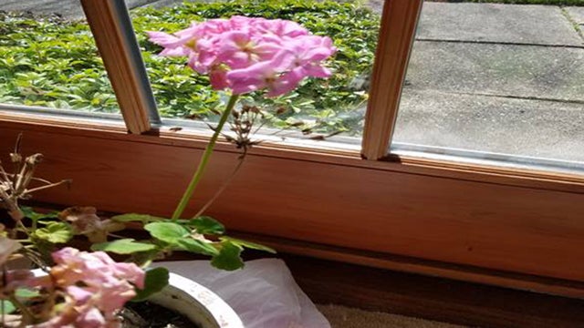 kristin emery vacation 