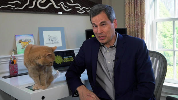 david-pogue-and-cat-working-from-home-620.jpg 