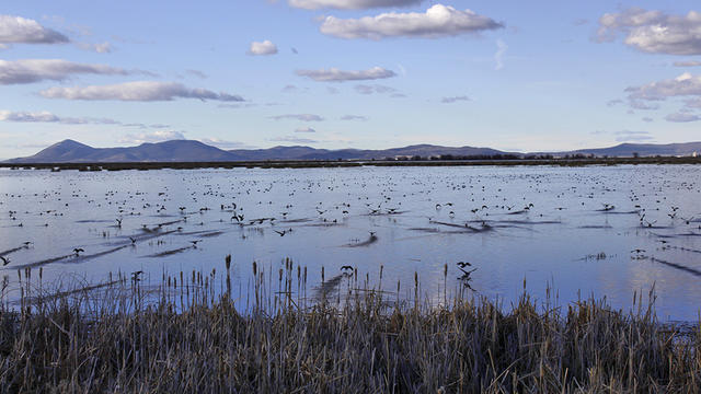 tulelake_AP_20086856843994.jpg 