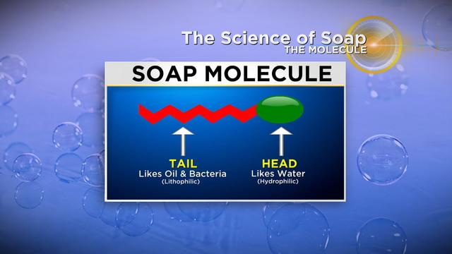 science-of-soap.jpeg 