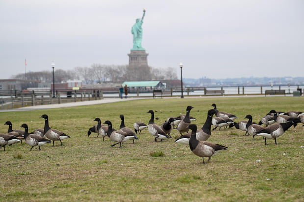 Liberty State Park in New Jersey 