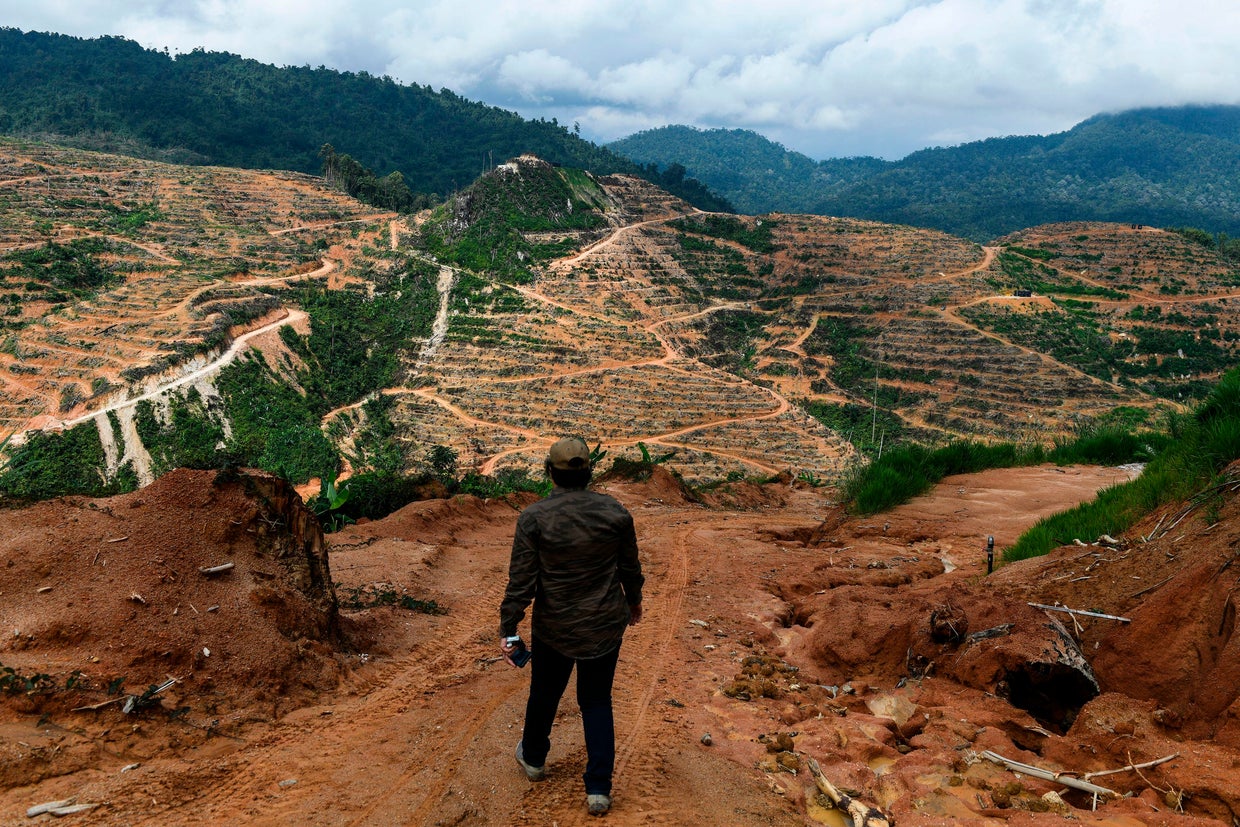 MALAYSIA-CHINA-AGRICULTURE-ENVIRONMENT-DURIAN 