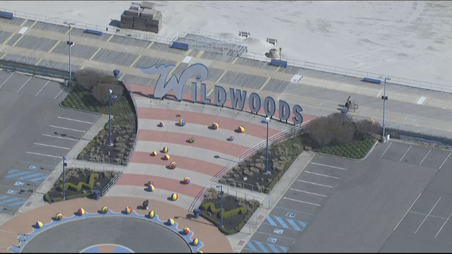 wildwoods.png 