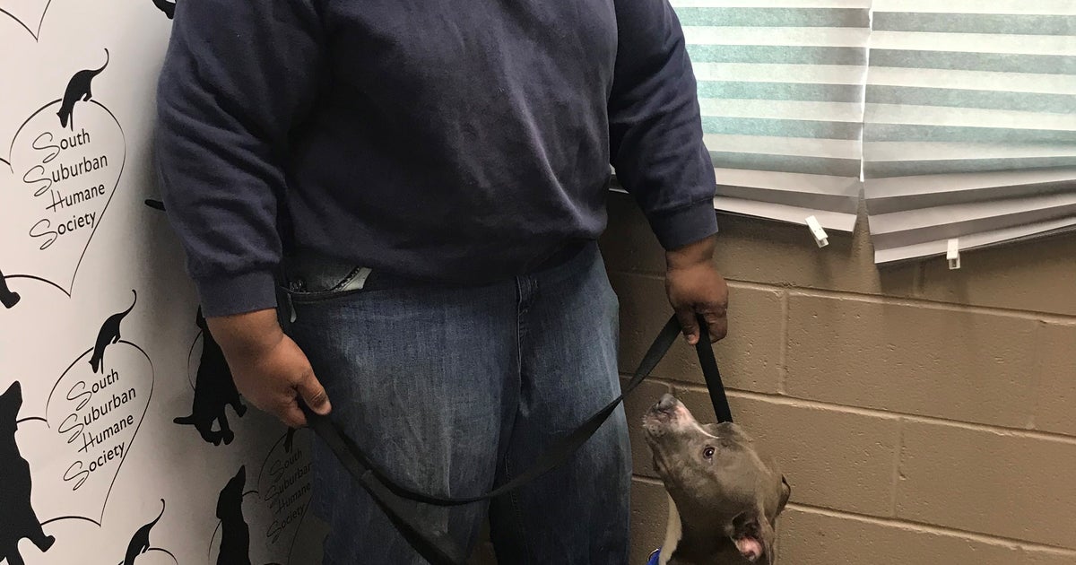 chicago.cbslocal.com