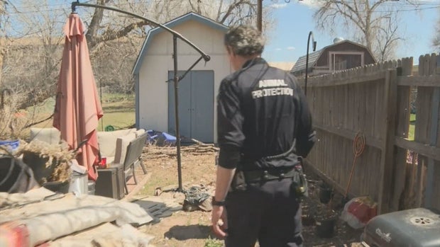 AT HOME DOG BITES 6PKG.transfer_frame_952 