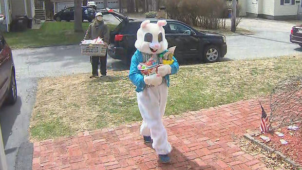 Easter Bunny Auburn 